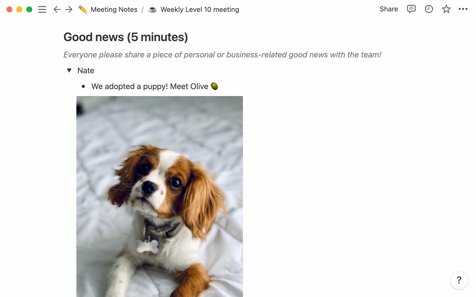 Utilisez des menus dépliants pour créer un espace permettant à chaque participant de partager une bonne nouvelle.